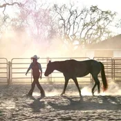 Advanced Equine Guided Education | The Art of Coaching & Facilitating with Horses — Casari Ranch