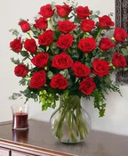 24 RADIANT ROSES