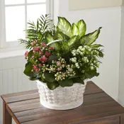 The FTD Rural Beauty Dishgarden