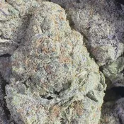 Kept Secret | 3.5 Grams | Hybrid