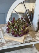 10" Late Bloomer Half Sphere-Plum