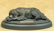 Newfoundland - Sweet Dreams