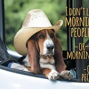 I Don't Like Morning People. Or Mornings. Or People Coffee Mug