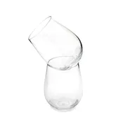 Shatterproof Tritan Wine Tumblers (Set of 2)