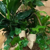 Annie's Garden Basket
