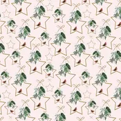 12 Days - Stars - Blush