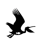 flying pelican silhouette