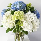 Hydrangeas Galore Arrangement