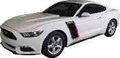 302 Fender Stripe
