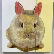 Rabbit by Jim Sande
