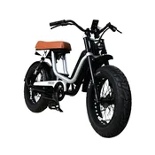 Monday - Torrey 750S — Rogan E-Bikes | St. Petersburg, FL