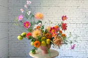 seasonal arrangement SOLD OUT UNTIL 9/12 FOR PICK UP, 9/16 FOR DELIVERY