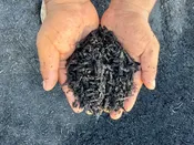 Black Mulch – Houston Delivery | Premium Double Ground