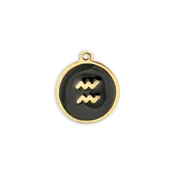 Black & Gold Aquarius