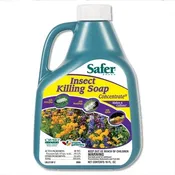 Safer Insect Killing Soap (16 Oz)