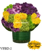 A SPLENDID SURPRISE!!