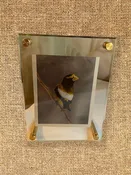 Acrylic Frame - Gold 4 x 6