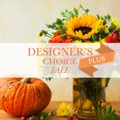 Fall Designer's Choice- Plus