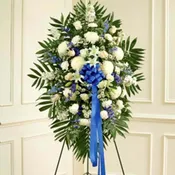 Blue & White Sympathy