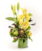 Bumble Bee — My Fair Lady's Flowers