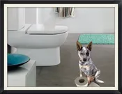 ONLINE VIDEO COURSE: Housebreaking