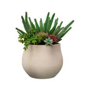 13" Green Cactus in Stone Wash White Ceramic