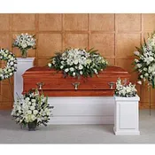 Grandest Glory Collection