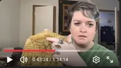One-on-one with Rebecca — Sun Dragon Art & Fiber