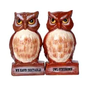 PT Irritable Owls Salt & Pepper Shakers