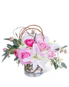BLUSH CELEBRATION