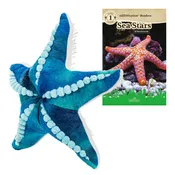 11” Plush + Zoologist Reader Book: Blue Sea Star (Ages 6–8)