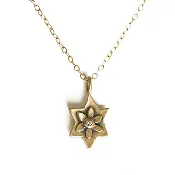 14k Gold Botanical Star of David Necklace by Emily Rosenfeld -  Choice of Gemstone