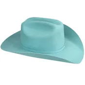 Bailey Western Cowboy Lightning Hat