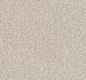 Anderson Tuftex Carpet Ambitious Vintage Find 00105_ZZ327