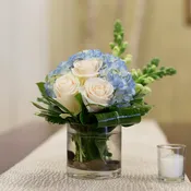 An Accent of Blue