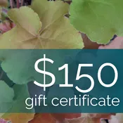 Gift Certificate — Plant Atlanta