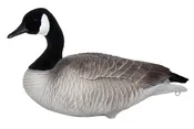 Canada Lesser goose-Flocked Head-per Dozen