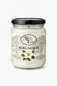 Magnolia 🌸