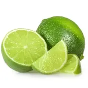 Bearss Seedless Lime (Tahitian/Persian) Semi-Dwarf Tree