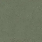 Sage Color Sample