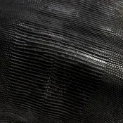 Black Lizard Skin (Back Cut)