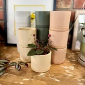 3.5" Earth Tone Mini Planters | Tatami