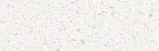 Arctic Snow