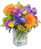 CELEBRATE THE DAY