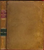 Adventures of Huckleberry Finn (Tom Sawyer's Comrade)