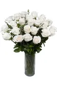 2 DOZEN WHITE SYMPATHY ROSES