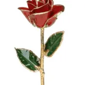 24K Red Rose