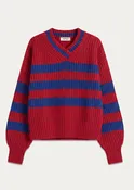 Aldo V-Neck Polo Sweater