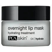 Overnight Lip Mask — Erin Meier Aesthetics