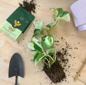 We the Wild Enrich Powder — Scenic Roots Garden Center | Sandwich, MA